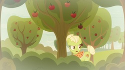 Size: 1920x1080 | Tagged: safe, screencap, granny smith, pony, g4, going to seed, apple, apple tree, female, flashback, food, mare, solo, tree, young granny smith, younger