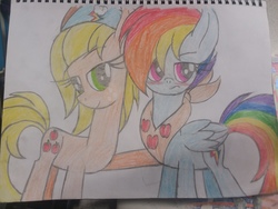 Size: 2576x1932 | Tagged: safe, artist:sonicpals101, applejack, rainbow dash, pony, g4, female, lesbian, ship:appledash, shipping, traditional art