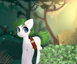 Size: 6000x5000 | Tagged: safe, artist:bestiary, oc, oc only, oc:olive roe, earth pony, pony, dagger, forest, freckles, knife, male, nature, solo, stallion, weapon, ych result