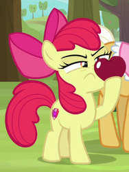 Size: 614x815 | Tagged: safe, screencap, apple bloom, goldie delicious, earth pony, pony, g4, going to seed, apple, cropped, cutie mark, female, filly, food, mare, offscreen character, solo focus, the cmc's cutie marks