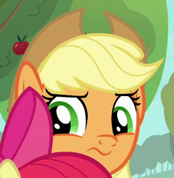 Size: 367x376 | Tagged: safe, screencap, apple bloom, applejack, earth pony, pony, g4, going to seed, applejack's hat, cowboy hat, cropped, duo, hat, offscreen character, reaction image, solo focus