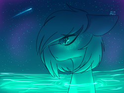 Size: 800x600 | Tagged: safe, artist:avimod, oc, oc only, pony, bust, ear freckles, eyebrows, eyebrows visible through hair, floppy ears, freckles, night, profile, shooting star, solo, stars, surreal, water