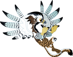 Size: 1920x1500 | Tagged: safe, artist:whitekitsuneko, oc, oc only, griffon, colored wings, female, multicolored wings, simple background, solo, spots, transparent background, wings
