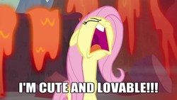 Size: 854x480 | Tagged: safe, edit, edited screencap, screencap, fluttershy, pegasus, pony, g4, sweet and smoky, caption, female, image macro, solo, text, truth, yelling
