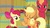 Size: 1920x1080 | Tagged: safe, screencap, apple bloom, applejack, big macintosh, earth pony, pony, g4, going to seed, barrel, cutie mark, female, filly, the cmc's cutie marks