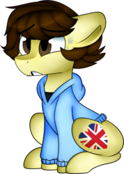 Size: 1410x1985 | Tagged: safe, artist:s-ansy, oc, oc only, earth pony, pony, clothes, hoodie, male, sitting, solo, stallion, sweat, sweatdrop, sweater