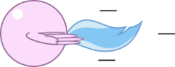 Size: 263x101 | Tagged: safe, artist:mega-poneo, silverstream, hippogriff, g4, ball, crossover, female, motion lines, rolling, simple background, solo, spin dash, spread wings, transparent background, wings