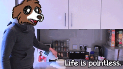 Size: 500x281 | Tagged: safe, artist:askwinonadog, edit, winona, dog, human, ask winona, g4, ask, cereal, dan howell, danisnotonfire, existential crisis, existentialism, food, irl, irl human, milk, photo, solo, tumblr