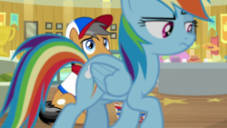 Size: 1920x1080 | Tagged: safe, screencap, quibble pants, rainbow dash, earth pony, pegasus, pony, common ground, buckball museum, clothes, duo, female, frown, hat, male, mare, museum, rainbow dash is not amused, raised eyebrow, raised hoof, stallion, trophy, unamused, walking