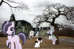 Size: 639x427 | Tagged: safe, artist:cheezedoodle96, artist:hunterz263, artist:jhayarr23, artist:slb94, artist:undeadponysoldier, fluttershy, inky rose, moonlight raven, spike, starlight glimmer, oc, oc:foalita, dragon, earth pony, pegasus, pony, unicorn, g4, alternate hairstyle, angry, clothes, collar, dead tree, dead trees, dragons in real life, dress, ear piercing, earring, edgelight glimmer, eyeliner, female, filly, fluttergoth, glimmer goth, goth, gothic eyeliner, house, irl, jewelry, lidded eyes, looking at you, makeup, male, mansion, mare, photo, piercing, ponies in real life, raised hoof, teenage glimmer, tree, victorian, victorian mansion