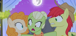 Size: 1909x917 | Tagged: safe, screencap, bright mac, granny smith, pear butter, earth pony, pony, g4, the perfect pear, angry, cropped, female, hat, husband and wife, male, mare in the moon, marriage, moon, mother and child, mother and daughter-in-law, mother and son, palindrome get, wedding, young granny smith, younger