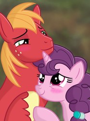 Size: 2048x2732 | Tagged: safe, artist:justsomepainter11, big macintosh, sugar belle, earth pony, pony, unicorn, g4, the break up breakdown, abstract background, blushing, female, high res, hug, male, mare, ship:sugarmac, shipping, show accurate, smiling, stallion, straight