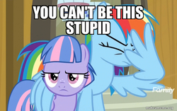 Size: 800x501 | Tagged: safe, edit, edited screencap, screencap, rainbow dash, wind sprint, pegasus, pony, common ground, g4, auntie dashie, caption, duo, facepalm, facewing, female, filly, foal, image macro, mare, meme, reaction image, text