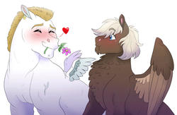 Size: 1280x834 | Tagged: dead source, safe, artist:cascayd, bulk biceps, dumbbell, pegasus, pony, g4, dumbbiceps, ear piercing, earring, eyes closed, flower, gay, heart, jewelry, male, piercing, shipping, simple background, stallion, vein, white background
