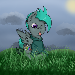 Size: 800x800 | Tagged: safe, artist:luriel maelstrom, oc, oc only, oc:zephyr rose, pony, clothes, cloud, grass, hoodie, male, signature, simple background, solo, sun, tongue out, wings