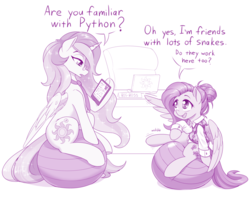 Size: 1280x1020 | Tagged: safe, artist:dstears, fluttershy, princess celestia, alicorn, pegasus, pony, g4, alternate hairstyle, chair, clothes, comically missing the point, computer, cute, dialogue, duo, exercise ball, female, glasses, hair bun, job interview, mare, monochrome, necktie, office chair, open mouth, painfully innocent fluttershy, pone co., profile, programming, pun, python (language), resume, shyabetes, sitting, trademark