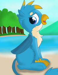 Size: 2550x3300 | Tagged: safe, artist:skyflys, gallus, griffon, g4, cute, gallabetes, high res, male, solo, teenager