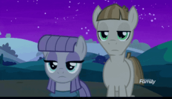 Size: 800x460 | Tagged: safe, screencap, maud pie, mudbriar, earth pony, pony, g4, student counsel, animated, discovery family logo, duo, loop, talking