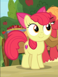 Size: 352x468 | Tagged: safe, screencap, apple bloom, big macintosh, earth pony, pony, g4, going to seed, adorabloom, cropped, cute, cutie mark, female, filly, smiling, solo focus, the cmc's cutie marks