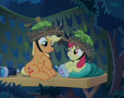 Size: 881x693 | Tagged: safe, screencap, apple bloom, applejack, earth pony, pony, g4, going to seed, apple sisters, cropped, duo, female, hat, looking at each other, sitting, sleeping bag, smiling