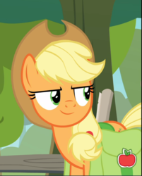 Size: 703x876 | Tagged: safe, screencap, applejack, earth pony, pony, g4, going to seed, cropped, female, mare, saddle bag, smiling, solo