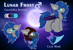 Size: 8000x5500 | Tagged: safe, artist:lunar froxy, oc, oc only, oc:lunar frost, bat pony, pony, angry, bat pony oc, eye clipping through hair, full moon, hood, male, mask, moon, night guard, reference sheet, smiling, smirk, stallion