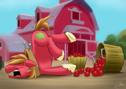 Size: 3925x2783 | Tagged: safe, artist:oinktweetstudios, big macintosh, earth pony, pony, g4, going to seed, apple, barn, basket, cute, food, high res, macabetes, male, silly, silly pony, sleeping, snoring, solo, stallion, sweet apple acres