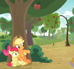 Size: 995x936 | Tagged: safe, screencap, apple bloom, applejack, earth pony, pony, g4, going to seed, adorabloom, apple sisters, apple tree, cropped, cute, duo, excited, female, filly, foal, hiding, jackabetes, male, mare, siblings, sisters, sitting, smiling, snare trap, trap (device), tree