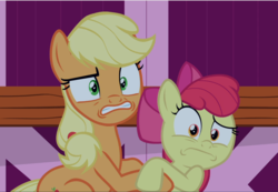 Size: 1360x941 | Tagged: safe, screencap, apple bloom, applejack, earth pony, pony, g4, going to seed, bow, cropped, duo, faic, female, filly, hair bow, holding each other, mare, shocked, siblings, sisters, sitting, teeth, wide eyes