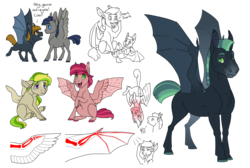 Size: 3700x2480 | Tagged: safe, artist:jackiebloom, oc, oc only, oc:northern skies, bat pony, pegasus, pony, anatomy, bat pony oc, colt, featherless wings, headcanon, headcanon in the description, high res, hybrid wings, male, slit pupils, upside down, wing claws, wings