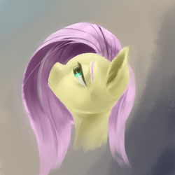 Size: 500x500 | Tagged: safe, artist:usager, fluttershy, pony, g4, bust, female, looking up, mare, portrait, profile, solo