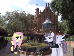 Size: 642x483 | Tagged: safe, editor:undeadponysoldier, fluttershy, inky rose, pegasus, pony, g4, amusement park, bush, clothes, disney world, dress, female, florida, fluttergoth, goth, gothic eyeliner, house, irl, lidded eyes, looking at you, magic kingdom, makeup, mansion, mare, open mouth, orlando, photo, ponies in real life, queue, spread wings, the haunted mansion, theme park, wagon, walt disney world, wings