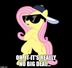Size: 529x499 | Tagged: artist needed, safe, fluttershy, pegasus, pony, g4, backwards ballcap, baseball cap, bipedal, black background, cap, caption, crossed arms, deal with it, female, hat, image macro, imgflip, mare, meme, open mouth, simple background, solo, sunglasses, swag, text