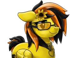 Size: 2933x2200 | Tagged: safe, artist:fluor1te, oc, oc only, oc:raini days, pegasus, pony, female, flower, glasses, high res, jewelry, mare, necklace, simple background, smiling, solo, sunglasses, transparent background