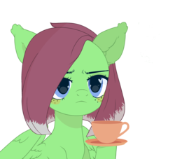 Size: 3290x2992 | Tagged: safe, artist:seona, oc, oc:watermelon success, cup, food, high res, simple background, tea, transparent background
