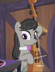 Size: 723x940 | Tagged: safe, screencap, octavia melody, earth pony, pony, g4, slice of life (episode), bipedal, bow (instrument), cello, cropped, female, looking at something, mare, musical instrument, reaction image, solo