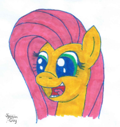 Size: 1208x1279 | Tagged: safe, artist:wouterthebelgian1999, fluttershy, pony, g4, bust, head, marker drawing, portrait, traditional art