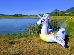 Size: 1199x899 | Tagged: safe, artist:arniemkii, princess celestia, alicorn, inflatable pony, pony, g4, bootleg, female, gras, horseplaytoys, inflatable, inflatable alicorn, inflatable toy, irl, lake, mare, nature, opaque inflatable, outdoors, photo, relaxing, summer, tree, water