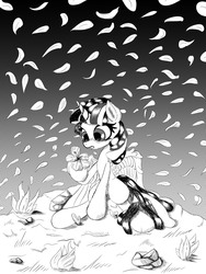 Size: 1500x2000 | Tagged: safe, artist:velcius, twilight sparkle, alicorn, pony, g4, black and white, dance of petals, female, flower, grayscale, monochrome, night, petals, simple background, sitting, solo, twilight sparkle (alicorn), white background