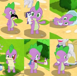 Size: 1097x1080 | Tagged: safe, gameloft, derpy hooves, prince blueblood, princess cadance, rarity, shining armor, spike, dragon, pegasus, pony, unicorn, g4, 3d, app, facial hair, female, food, game, game screencap, lying down, male, mare, moustache, offscreen character, plate, plushie, quill, rarity plushie, screenshots, solo, stallion, toy