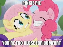 Size: 677x500 | Tagged: safe, edit, edited screencap, screencap, fluttershy, pinkie pie, pegasus, pony, unicorn, g4, rainbow roadtrip, bad touch, caption, cropped, discovery family logo, duo, female, hug, image macro, mare, meme, personal space invasion, smiling, text, varying degrees of want