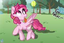 Size: 1945x1324 | Tagged: safe, artist:rainbow eevee, bifröst, pegasus, pony, g4, atg 2019, background pony, behaving like a dog, cute, female, fetch, forest background, friendship student, grass, grass field, mare, newbie artist training grounds, offscreen character, open mouth, orchard, puppy love, running, solo, sports, spread wings, student, tennis, tennis ball, throwing, tongue out, tree, windswept mane, wings