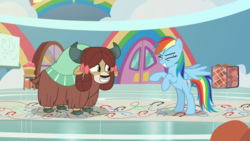 Size: 1920x1080 | Tagged: safe, screencap, rainbow dash, yona, pegasus, pony, yak, g4, she's all yak, bow, cloven hooves, duo, female, hair bow, mare, monkey swings, rearing