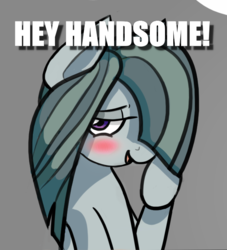 Size: 579x639 | Tagged: safe, artist:riggyrag, edit, marble pie, earth pony, pony, g4, blushing, caption, cropped, female, flirting, hair over one eye, image macro, looking at you, shy, solo, text