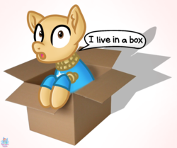 Size: 1458x1220 | Tagged: safe, artist:rainbow eevee, pony, atg 2019, box, cute, dialogue, irl, kick the buddy, lol, looking at you, male, newbie artist training grounds, not salmon, open box, open mouth, photo, ponified, rope, simple background, solo, talking, text, this will end in pain, video game, wat, what has science done, white background, wood, word bubble