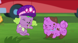 Size: 720x402 | Tagged: safe, screencap, princess thunder guts, spike, spike the regular dog, dog, equestria girls, g4, lost and pound, lost and pound: spike, my little pony equestria girls: choose your own ending, cute, eyes closed, female, male, mud, paws, spike's festival hat