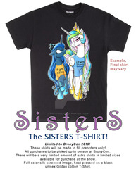Size: 800x1035 | Tagged: safe, artist:andypriceart, idw, princess celestia, princess luna, alicorn, pony, bronycon, bronycon 2019, g4, spoiler:comic, advertisement, blame my sister, clothes, duo, female, i'm with stupid, jewelry, mare, regalia, shirt, t-shirt, text on clothing, text on shirt