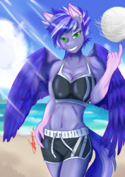Size: 2480x3508 | Tagged: safe, artist:mantarwolf, oc, oc only, oc:rainy night, pegasus, anthro, anthro oc, ball, beach, belly button, bikini, bikini top, clothes, commission, high res, ocean, sand, shorts, smiling, solo, spinning, sports, swimsuit, volleyball, ych result