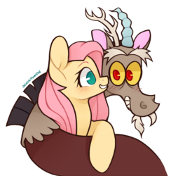 Size: 1000x1026 | Tagged: safe, artist:onionpwder, discord, fluttershy, draconequus, pegasus, pony, g4, blushing, bust, cute, discute, duo, female, gritted teeth, looking at each other, male, mare, no pupils, outline, prone, ship:discoshy, shipping, shyabetes, signature, simple background, smiling, straight, transparent background, white outline