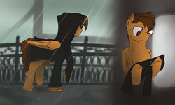 Size: 1846x1111 | Tagged: safe, artist:toanderic, oc, oc only, oc:toanderic, pegasus, pony, clothes, rain, solo, wet